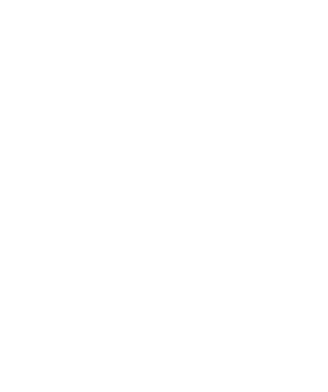 Grupo Technology